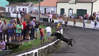 Touros EG - 45,74,31,46 - Tourada Outeiros Agualva - 9Set23 - Ilha Terceira - Açores