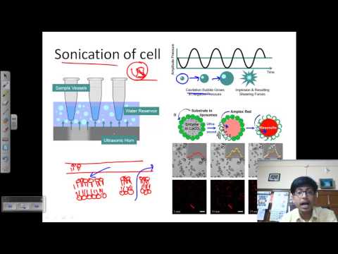 Sonication process