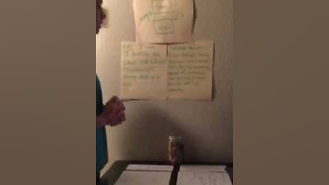 3338 Content and language video