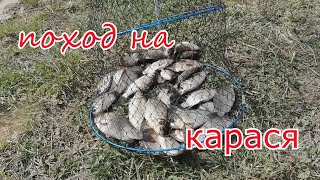 Поход на КАРАСЯ. Мой первый выезд  за карасём.