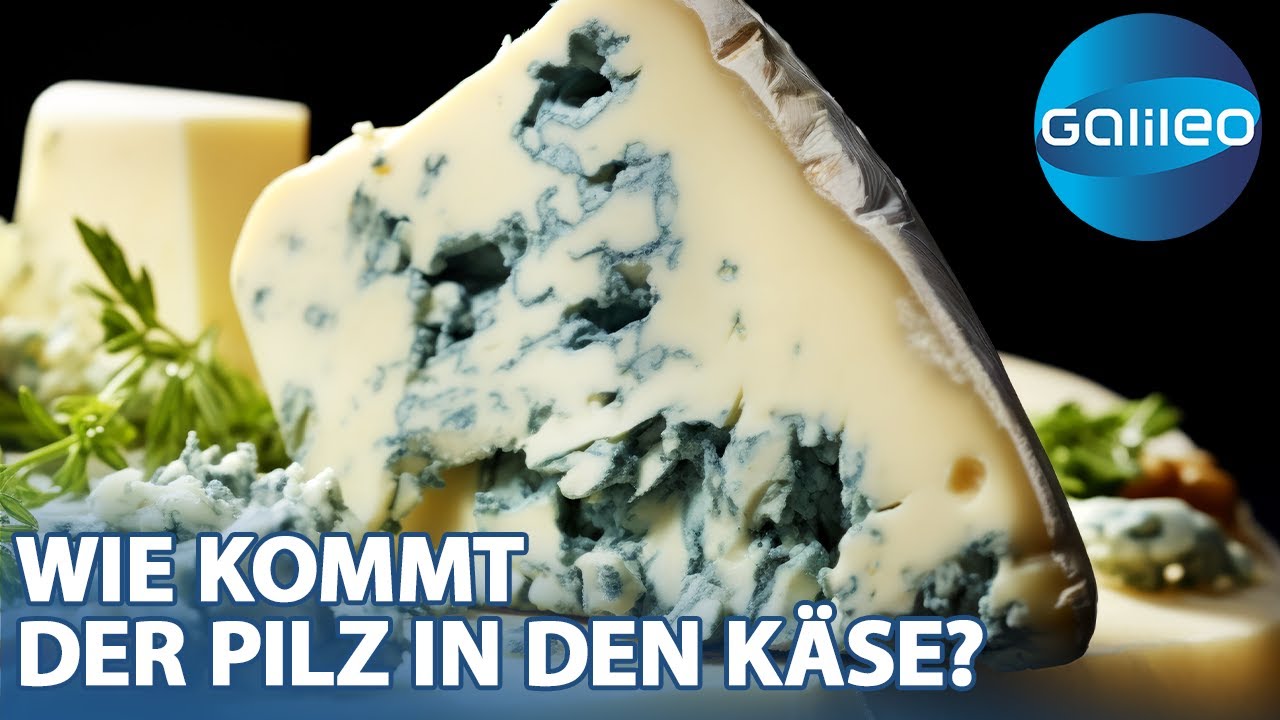 Schimmelzauber! Blauschimmelkäse von Hand vs. vom Band