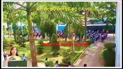 BAI 49. BỘ DƠI VÀ BỘ CÁ VOI (SINH 7)