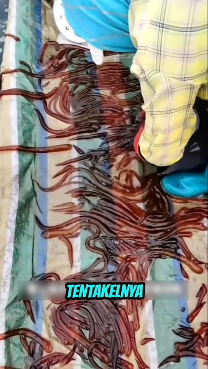Types of jellyfish that are edible ⁉️😱 #facts #entertainment #education