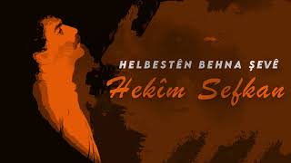 Hekîm Sefkan - Wê Şevê Resimi