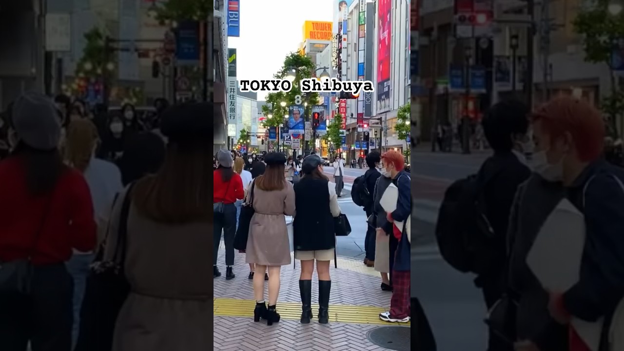 Shorts shibuya girls 男女 3 3 JAPAN TOUR 2025 OPEN in UENO結果報告 TOKYO DIME 東京ダイム 公式ウェブサイト- Professional 3x3 Basketball Team