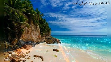 القارئ وليد شوقي أحمد ترتيل من سورة الرعد