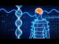 432Hz + 528Hz + 741Hz + 963Hz | The DEEPEST Healing Sleep: Whole Body Regeneration, Remove Insomnia