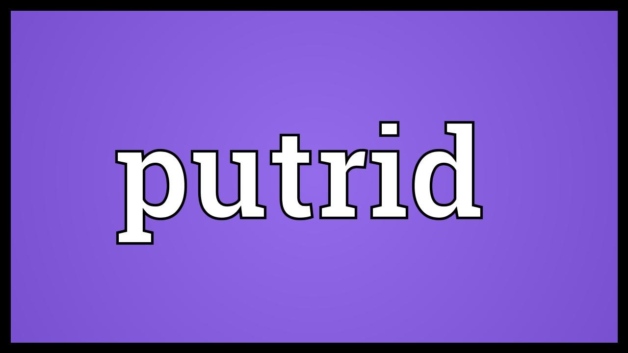 Image result for putrid words