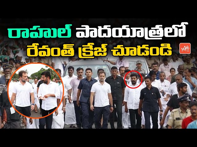 TPCC Revanth Reddy Participated In Rahul Gandhi Bharat Jodo Yatra | Congress Party | KCR | YOYO TV class=