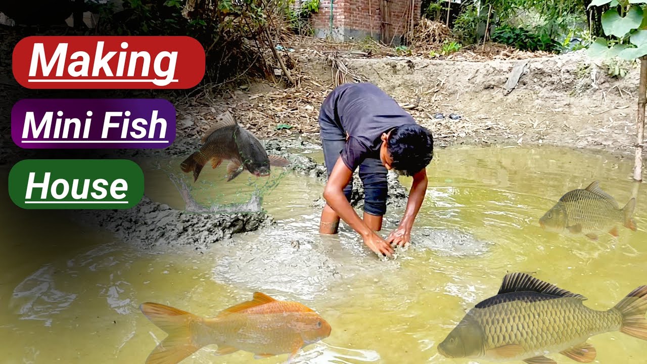 Amazing Fish House Making Video || Making Mini Fish Home || Part- 01