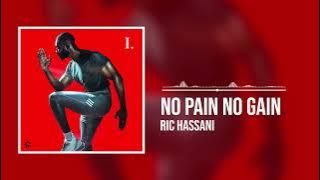 Ric Hassani - No Pain No Gain (Official Audio)