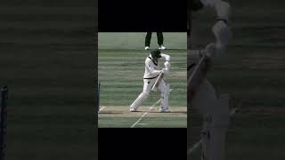 #cricket #glenphillips #fielding #allrounder #flyingcatches #newzealandcricket 💀