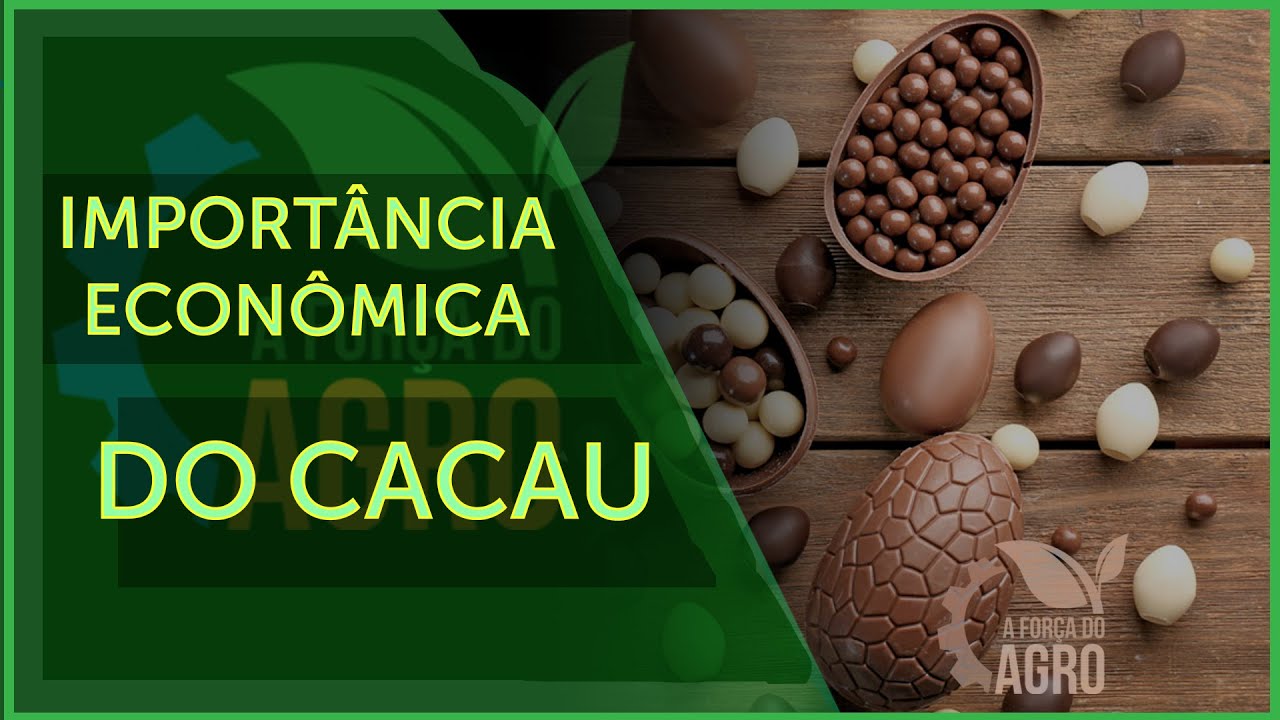 O cacau já foi o principal produto de exportação brasileira