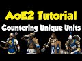 Beginners guide to countering every Unique Unit [AoE2]