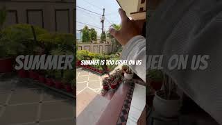 #duke390 #summer #bikes #summers #elnino