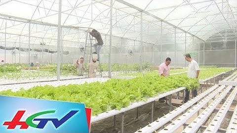 Sản xuất giống –“tử huyệt” của ngành nông nghiệp | PHÓNG SỰ ĐÔNG TÂY - 20/11/2017