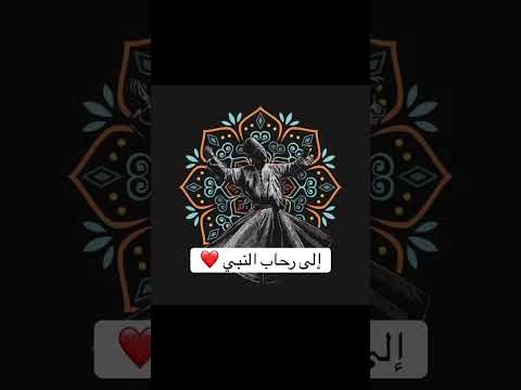 إلى رحاب النبي إلى ضياء الكوكب