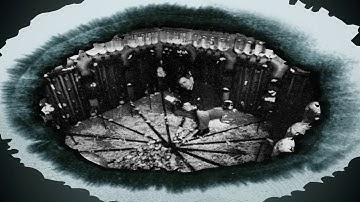 1972 UNIVERSE-25 MOUSE UTOPIA THE END OF HUMANITY EXPERIMENT