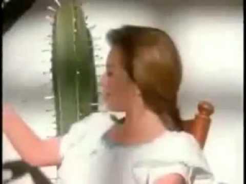  ام السيد ماهر العمدة 0127625292 اخراج حسين 0124919053 3 