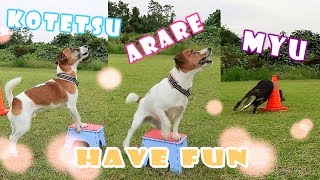 20171018 K&A&M Have FUN