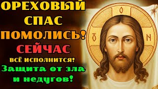 видео: МОЛИСЬ СЕЙЧАС — САМЫЙ СИЛЬНЫЙ ОРЕХОВЫЙ СПАС! Прочти молитву 1 раз — и ЧУДО ПРОИЗОЙДЁТ в твоей жизни! картинка: МОЛИСЬ СЕЙЧАС — САМЫЙ СИЛЬНЫЙ ОРЕХОВЫЙ СПАС! Прочти молитву 1 раз — и ЧУДО ПРОИЗОЙДЁТ в твоей жизни!