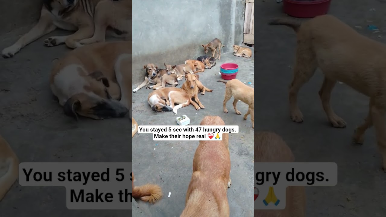 Your help is our hope 