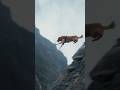 “Family’s Guardian Angel Dog”#dog #pets #shorts “ Video Content Intended for Adults”