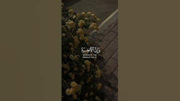 تلاوه من سورة غافر|بصوت الشيخ عبد الباسط عبد الصمد🎧✨ #trending #قرآن  #quran #راحة_نفسية #قران_كريم