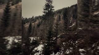 Kapizh - Земля неупокоєних душ / Land of Restless Souls