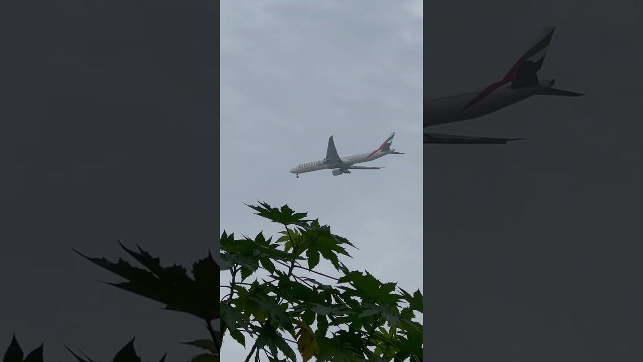 Flying flight in the lower atmosphere| 