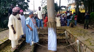 GBAJURE OLOJO FESTIVAL 2020. . .The Untold Story!!!!