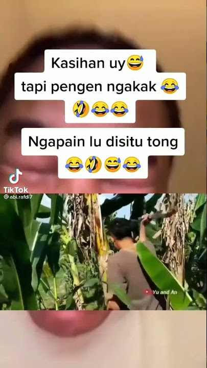 ketiban pohon pisang kan lu