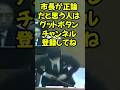 【#安芸高田市】　論点を纏められない議員。毎回同じ質問をする議員たちに激怒！　#2024 #切り抜き #最新 #安芸高田市 #広島県 #ニュース #速報 #news #石丸市長