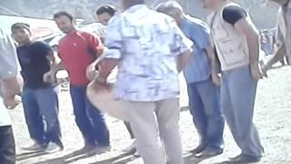 Açelya Yaylasından Bir Kare .