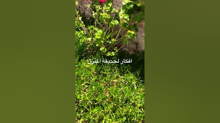 افكار بسيطة لتزين حديقة المنزل