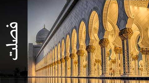سورة فصلت طارق عبدالغني دعوب - Surah Fussilat Tareq Abdulgani daawob