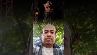 Manusia Idolakuaftershin