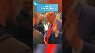 🇺🇲ТРАМП ПООБЕЩАЕТ ХАБИБУ🇵🇸 |TRUMP PROMISED KHABIB #мирадио #president #usa #хабиб #palestine #trump