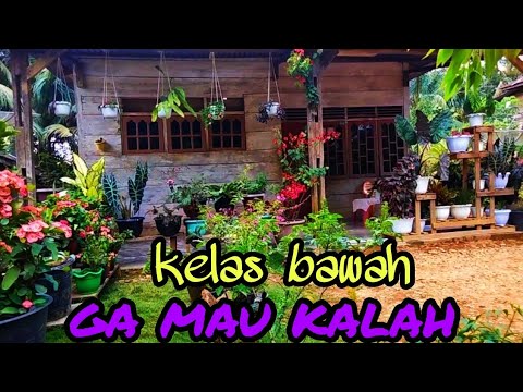 Video: Bunga Yang Kelihatan Seperti Teratai (50 Foto): Bunga Dalaman Kecil Dan Tanaman Oren Dalaman Besar, Bunga Taman Kuning Dan Putih Dan Pilihan Lain