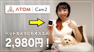 【ATOM Cam2設定方法】2980円の小型カメラの性能がすごい！！