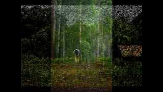 Padamu Bukit & Pedesaan