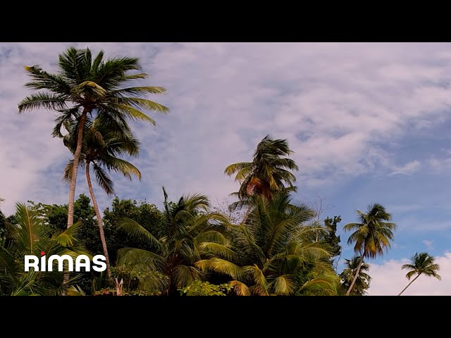 Bad Bunny - Agosto (360° Visualizer) | Un Verano Sin Ti