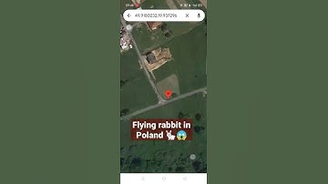 omg 🤯😱 flying rabbit in Poland in google map 😱😱 #shorts #youtubeshorts #facts #viral