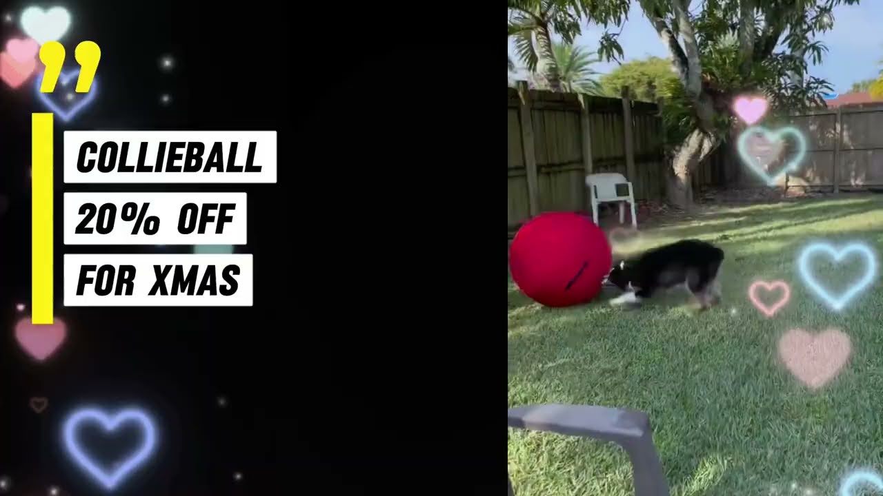 CollieBall Xmas Sale! 20% OFF + FREE Pump 🎄🐾 (Limited Time Only)