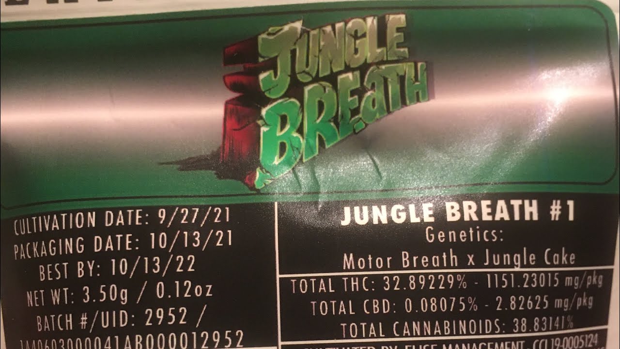 Strain review Jungle Boys Jungle Breath