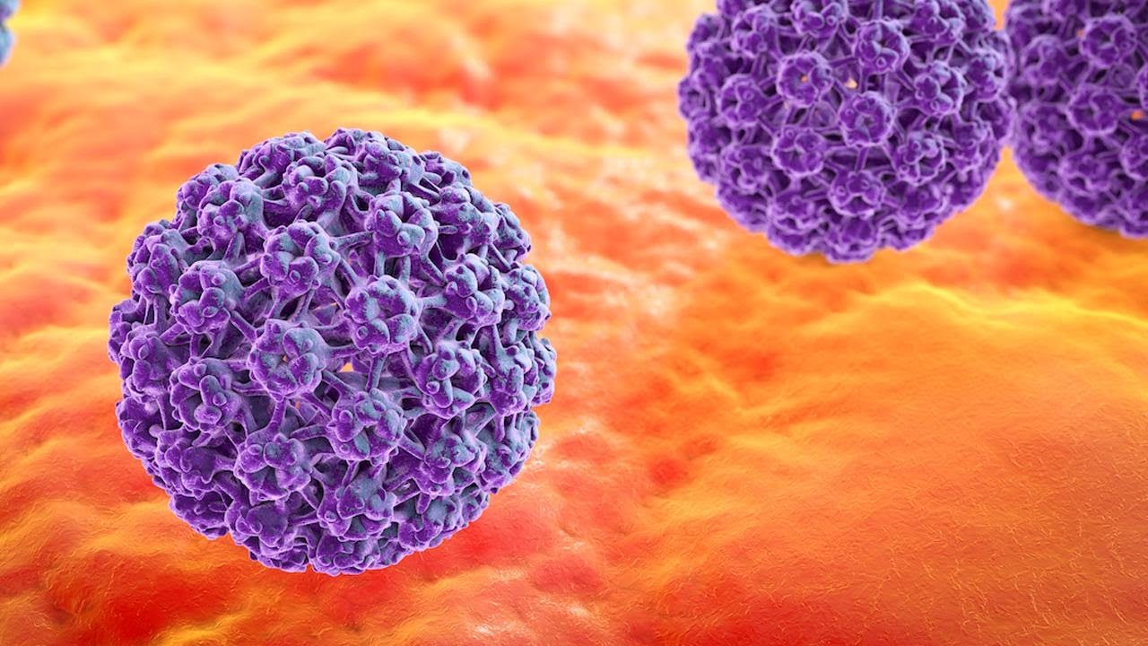 gardasil vaccine ontario condilom în simptomele uretrei