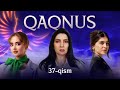 Qaqnus 37-qism