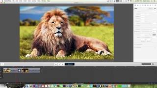 How to Add 2D & 3D Transitions in Screenflow 6