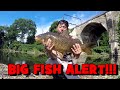 I ALMOST Got SPOOLED!!! (BIG CARP Alert)