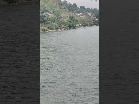गंगा के किनारे बैठ के ✨✨#kyu roye#travel#nature🌲🪴🏔️